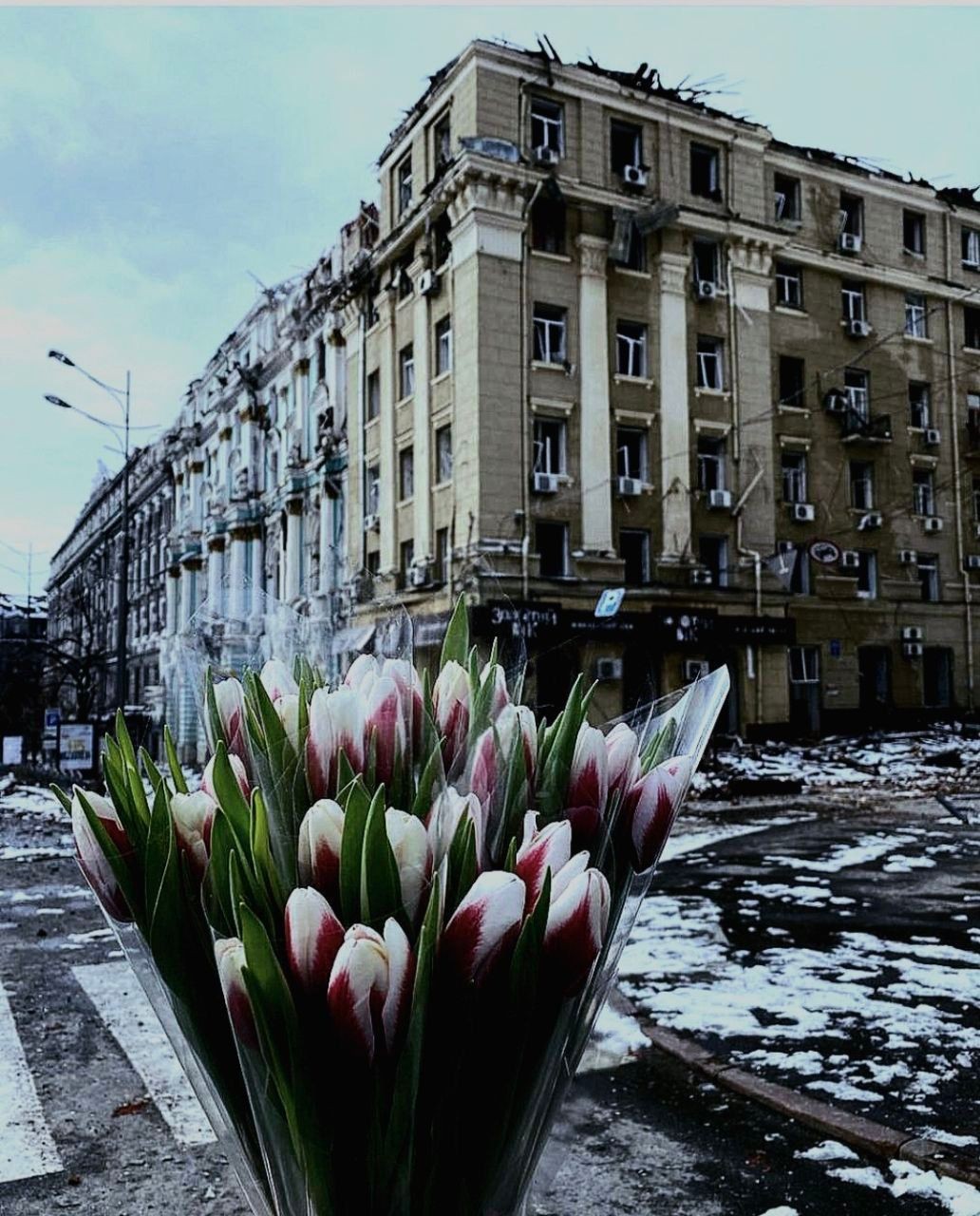 Всебічна гуманітарна допомога